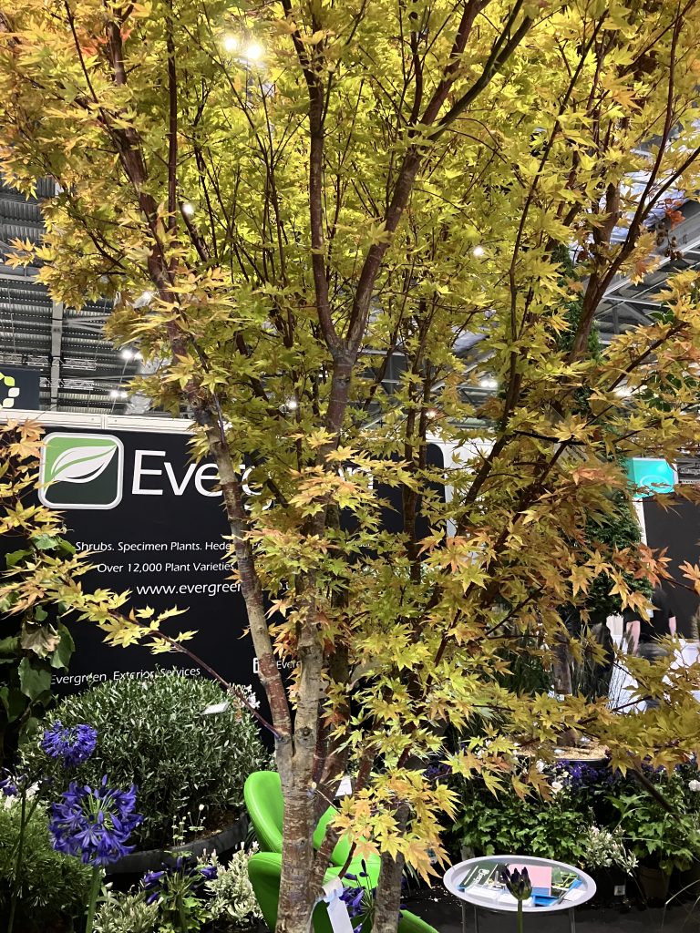 FutureScape, the UK’s largest annual trade event for landscaping