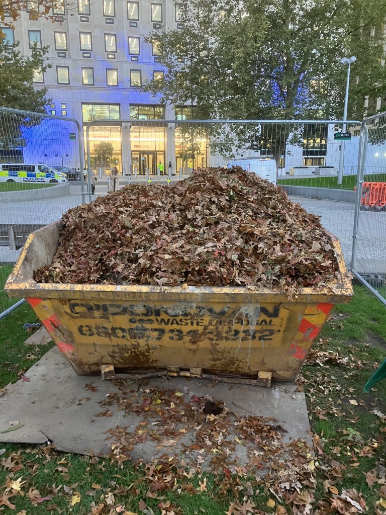 Tree Leaf Collection: Clean-Up, Reuse, and Boosting Biodiversity